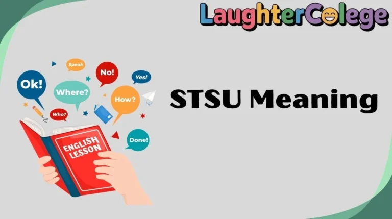 STSU Meaning