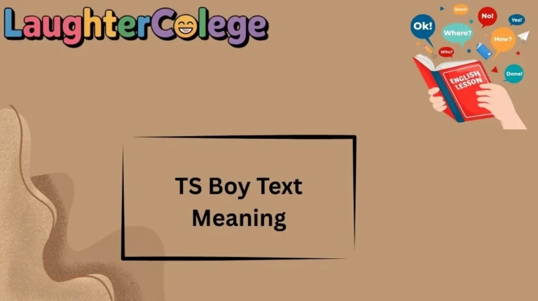 TS Boy Text Meaning